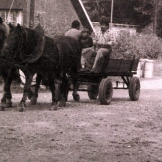 Rural scene with horse-drawn cart near industrial building.