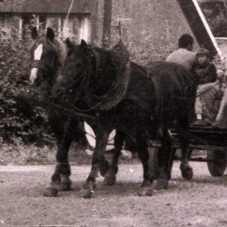 Rural scene with horse-drawn cart near industrial building.