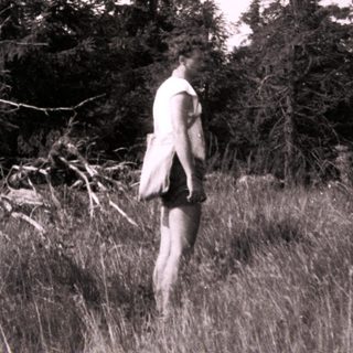 Person walking through tall grass near fallen tree.
