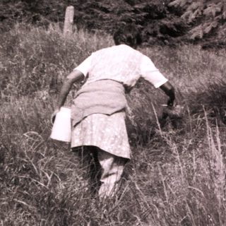 Person in traditional attire tending to field.