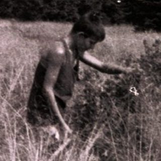 People gathering hay in a rural meadow.