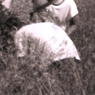 People gathering hay in a rural meadow.