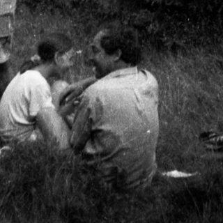 People cutting and gathering firewood in forested area.