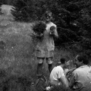People cutting and gathering firewood in forested area.