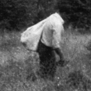 Person tending sheep in grassy mountainous terrain.