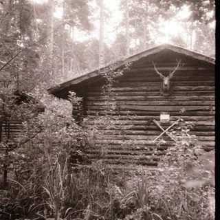 Rustic cabin with mounted deer head.