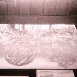 Black-and-white display of ancient pottery shards and artifacts.