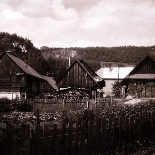 Rustic wooden farmhouses with gardens and forest backdrop.
