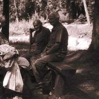 Three people sitting together outdoors in a wooded area.