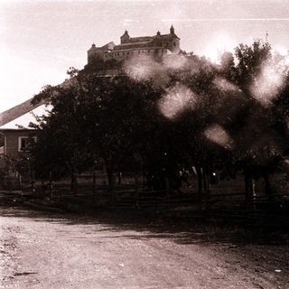 Historic castle atop hill with misty trees.