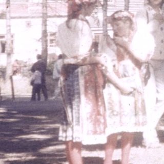 Large tree surrounded by people in outdoor setting.