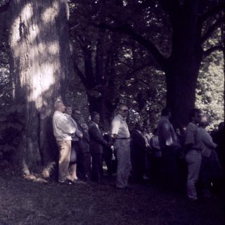 Large tree surrounded by people in outdoor setting.