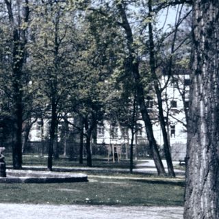 Peaceful park with trees, benches, and open paths.