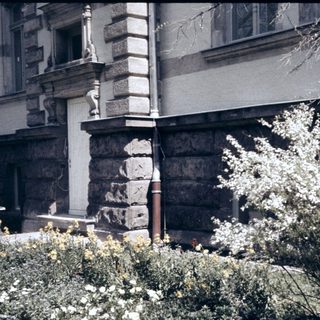 Historic building corner with ornate stonework and blooming shrubs.