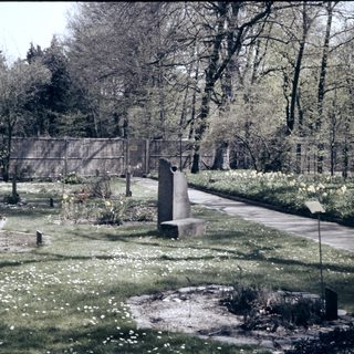 Peaceful cemetery with graves and memorials.