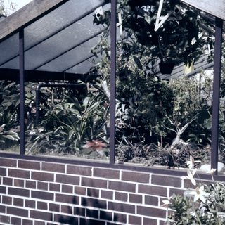 Greenhouse filled with lush indoor plants.