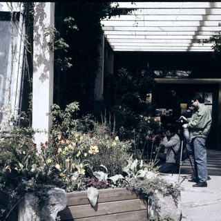 People taking photos near a building with garden flowers.