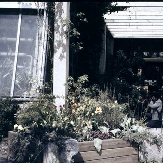 People taking photos near a building with garden flowers.