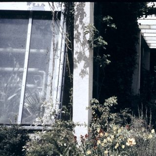 People taking photos near a building with garden flowers.