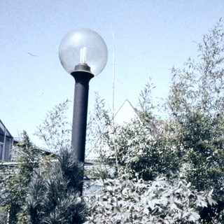 Classic street lamp surrounded by dense greenery.