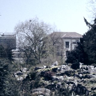 Rural landscape with rocky terrain and sparse trees.