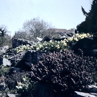 Damaged landscape with displaced rocks and debris.