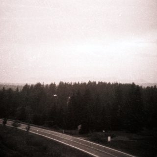 Rural road bordered by dense forest.
