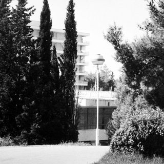Urban park with trees, pathway, and distant modern building.