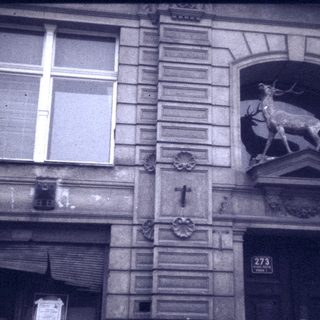 Facade of building with deer relief sculpture and number 273.
