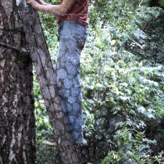 Woman climbing wet tree ladder in rainforest.