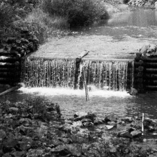 Tranquil forest waterfall cascading into a pond.