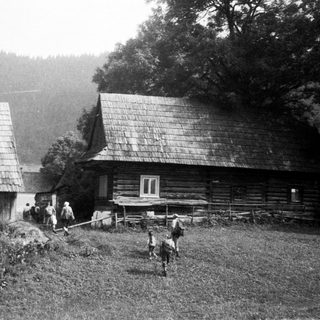 Rural log cabins with people and horses in countryside.
