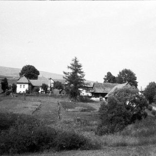 Rural village houses with farmland and trees.