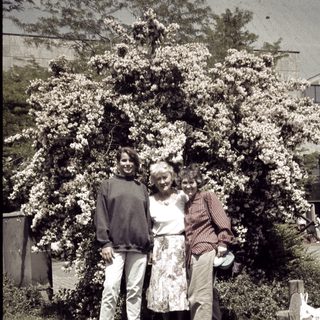 Three people posing together in a garden with blooming trees.