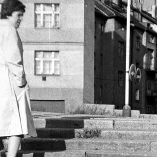 Child descending stairs with adult standing nearby.