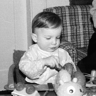Young child playing with toy animals.
