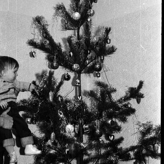 Child decorating a small Christmas tree with ornaments.