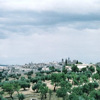 Historic cityscape with olive groves and domed churches.