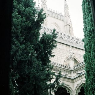 Gothic cathedral facade framed by tall trees.