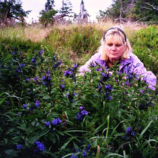 Woman kneeling among purple wildflowers in grassy field.
