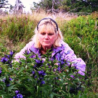 Woman kneeling among purple wildflowers in grassy field.