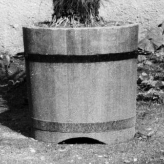 Woman sitting on bench outdoors near potted palm.
