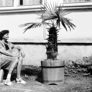 Woman sitting on bench outdoors near potted palm.