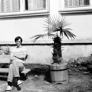 Person sitting on bench outdoors near potted plant.