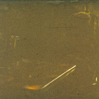 Blurred underwater scene with scattered debris.