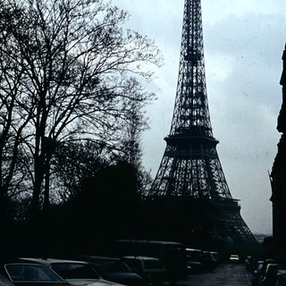 Eiffel Tower in Paris, viewed through trees.