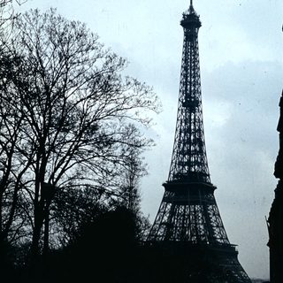 Eiffel Tower in Paris, viewed through trees.