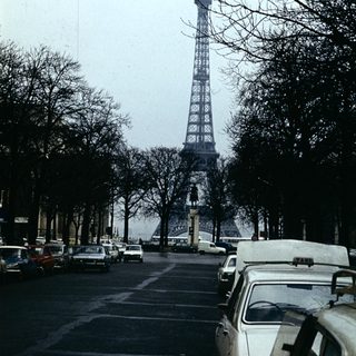 Eiffel Tower viewed through bare trees on Paris street.