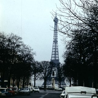 Eiffel Tower viewed through bare trees on Paris street.