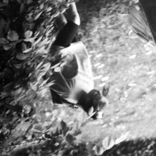 Child jumping or falling through falling leaves.